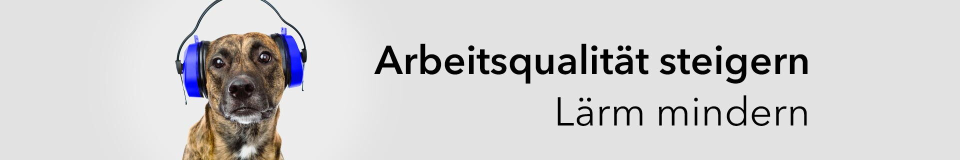 Header_SPEKTRA_Lärmdosimeter
