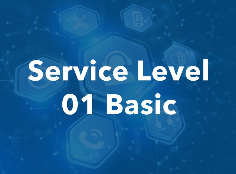 SL01 Basic